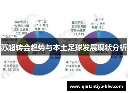 苏超转会趋势与本土足球发展现状分析